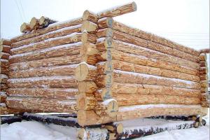 Сборка сруба